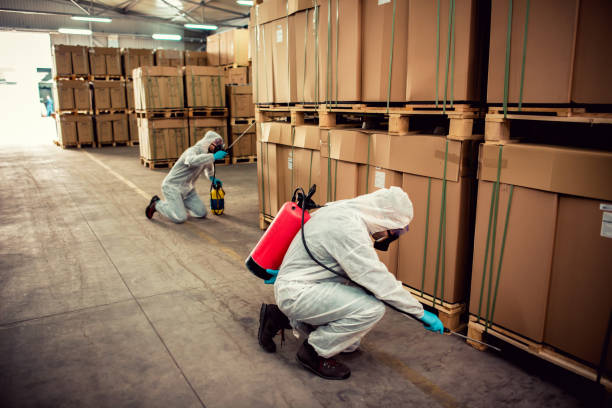 Best Pest Control Near Me in Cherokee Village, AR