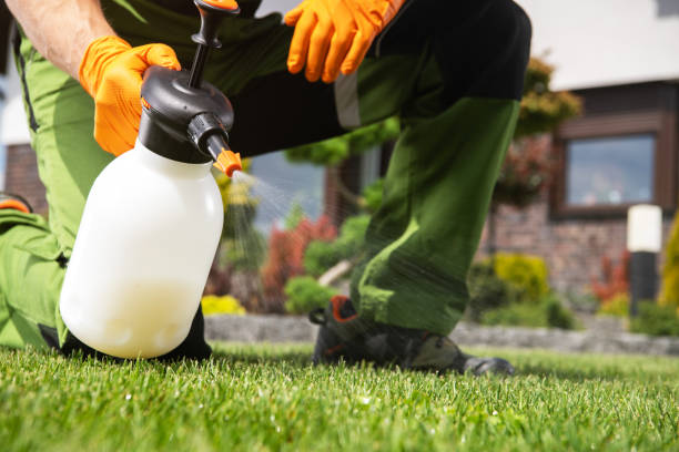 Best Local Pest Control Services  in Cherokee Village, AR