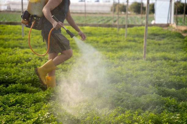 Best Pest Removal Services  in Cherokee Village, AR