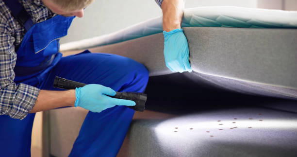 Best Mosquito Control Services  in Cherokee Village, AR