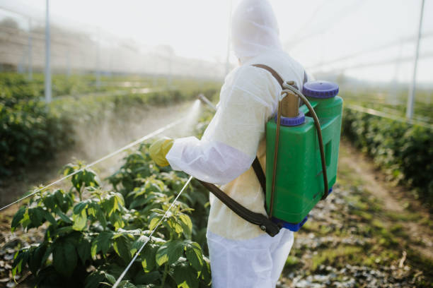 Best Affordable Pest Control Services  in Cherokee Village, AR